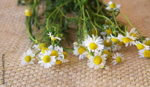 chamomile herbs with leaves on woven surface