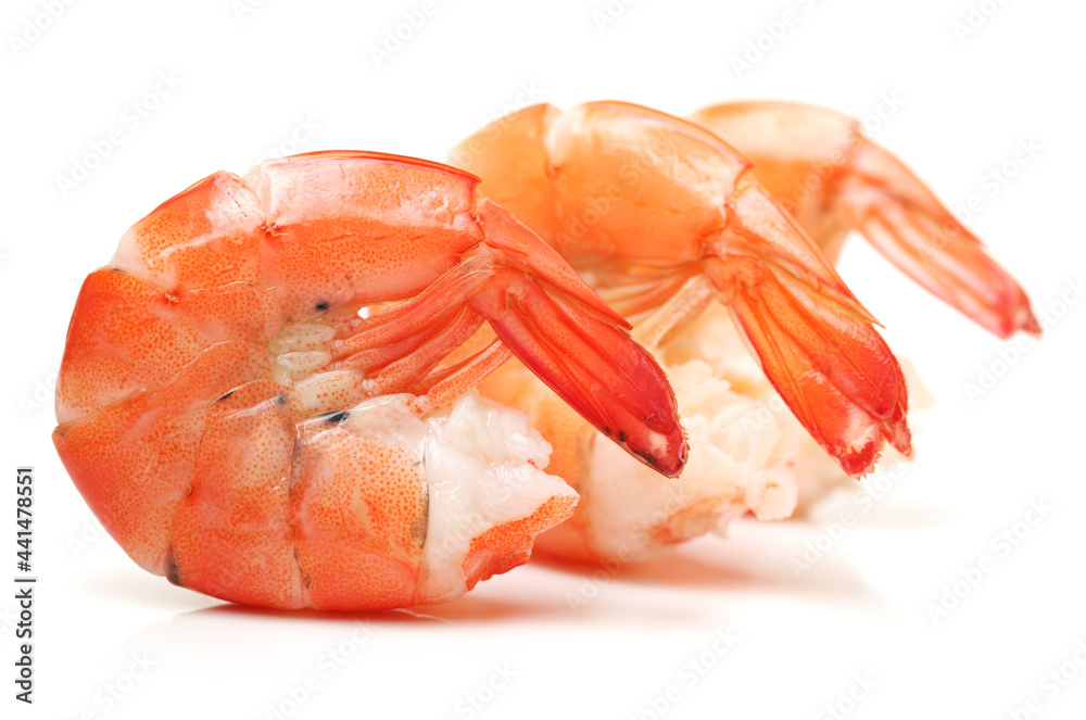 shrimps on a white background shrimps on a white background