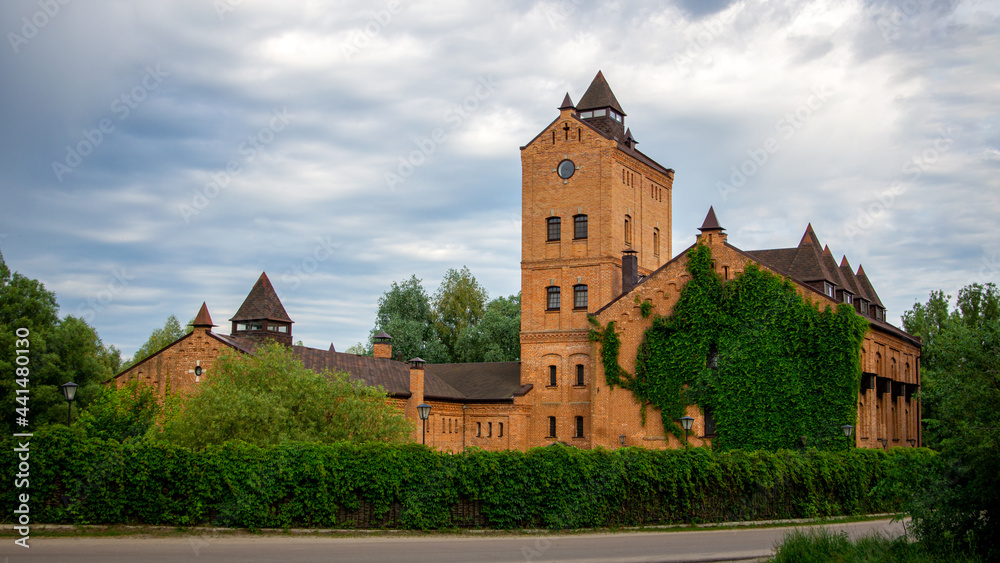 Ancient castle with towers among green trees