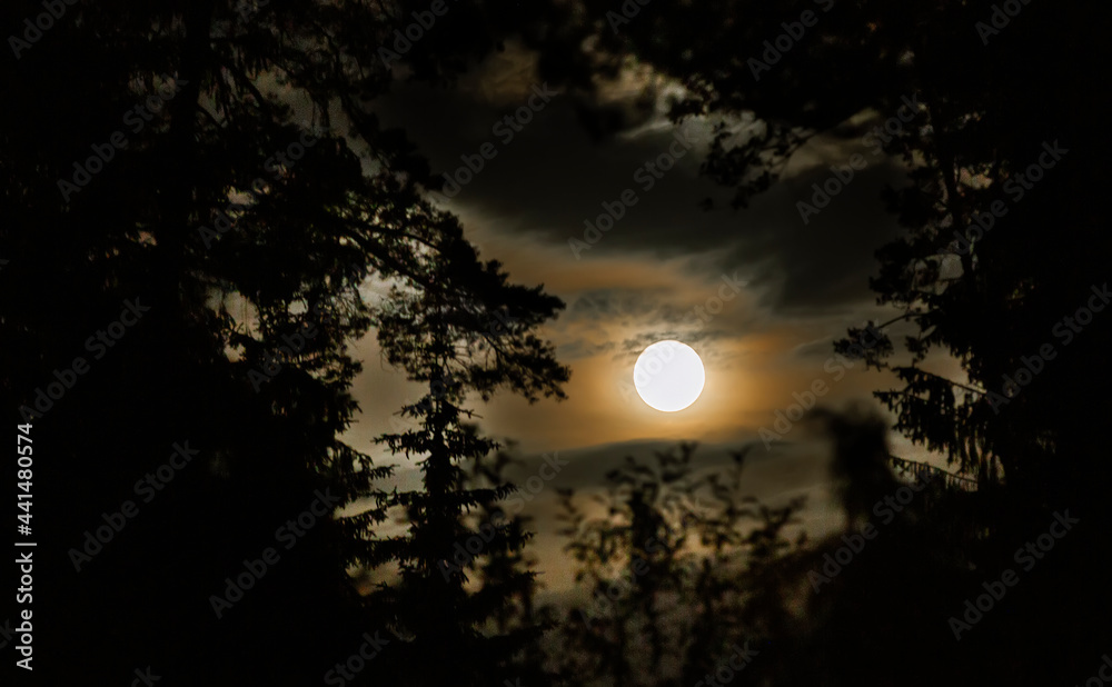 The big white moon rises above the dark forest
