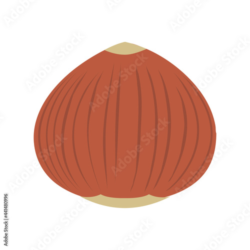 Chestnut Nature Autumn Fruit Food. illustration Design Vector Nut Nutrition Acorn Market Product.