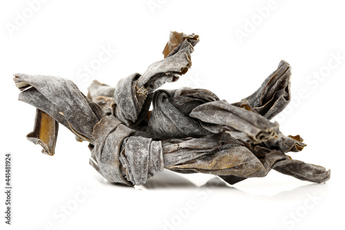 Kelp on a white background