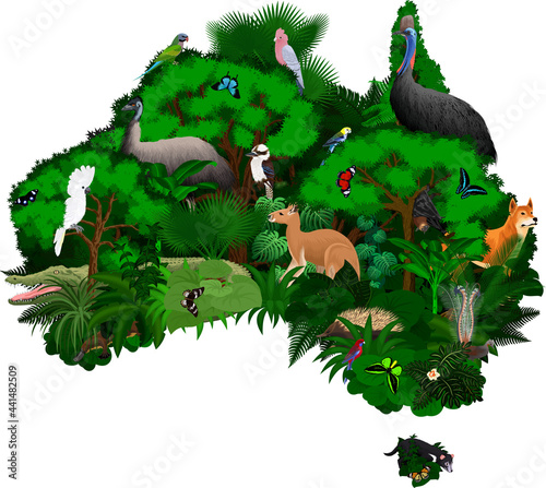 floral Australia map with animals - vector illustration