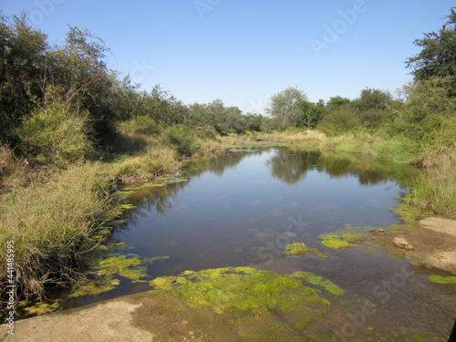 Fototapeta Naklejka Na Ścianę i Meble -  Kruger National Park: stream