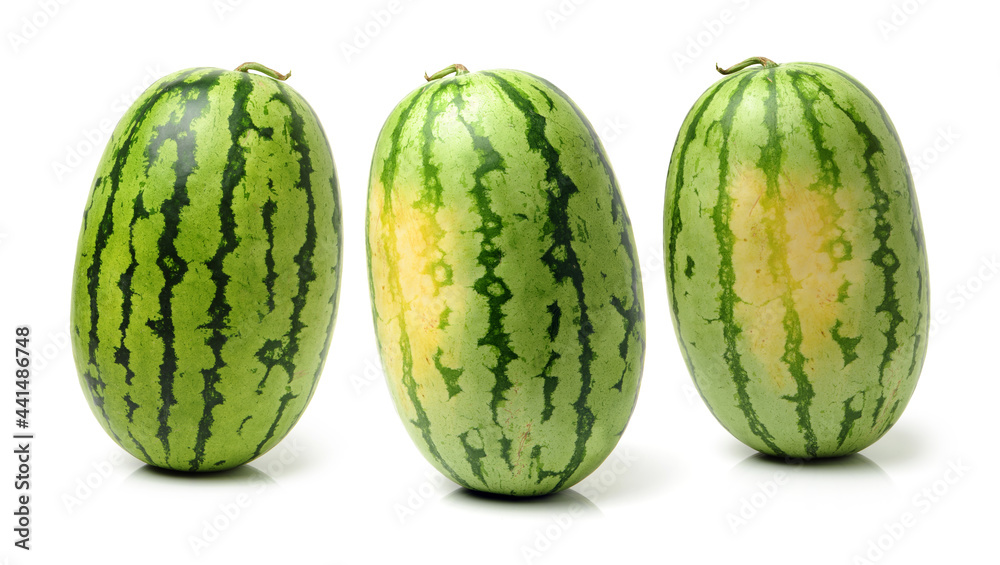 watermelon on a white background watermelon on a white background