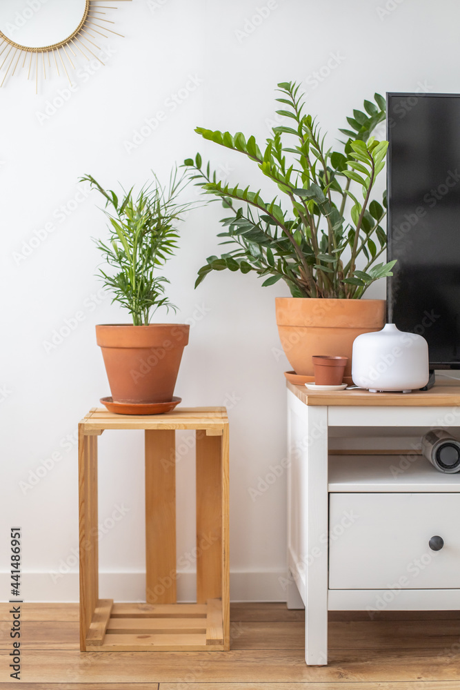 Empty modern scandi interior of living room potted plant furniture decor elements minimalistic home