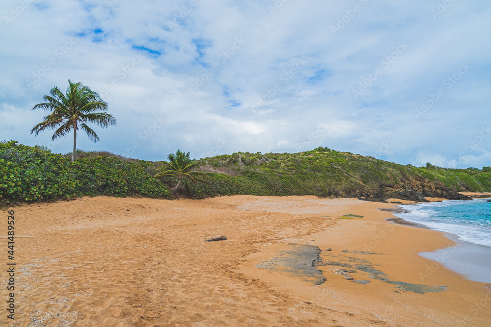 Panoramic view of tropical Red sand beach and blue water against sky Panoramic view of tropical Red sand beach and blue water against sky
