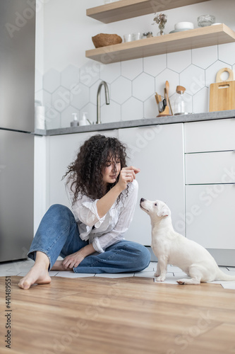 Modern female pet owner playing feeding training dog at kitchen Jack Russell Terrier breed