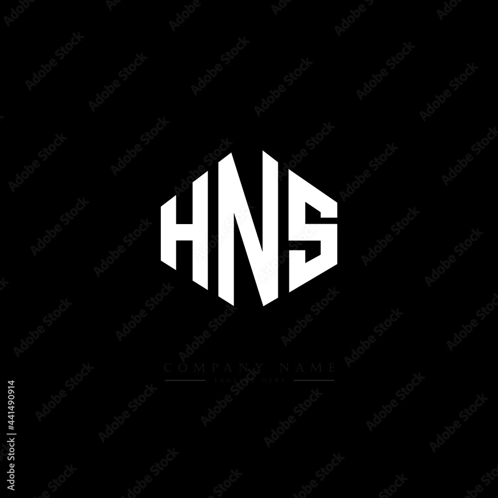 HNS letter logo design with polygon shape. HNS polygon logo monogram. HNS cube logo design. HNS hexagon vector logo template white and black colors. HNS monogram. HNS business and real estate logo. 