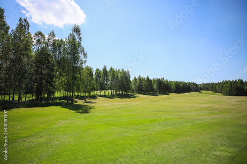 Green field against the background of forest and a blue sky.