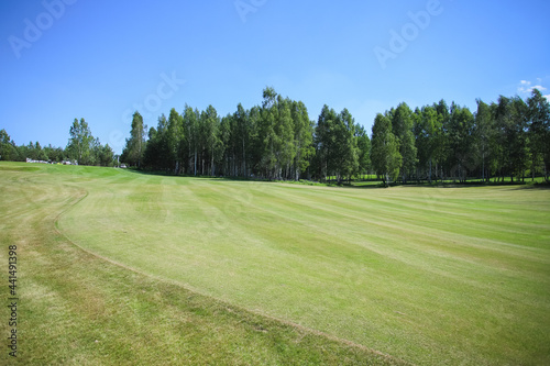 Green field against the background of forest and a blue sky.