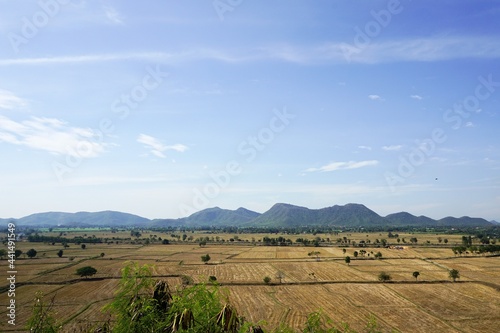 dry rice field in Kanchanaburi at Thailand
