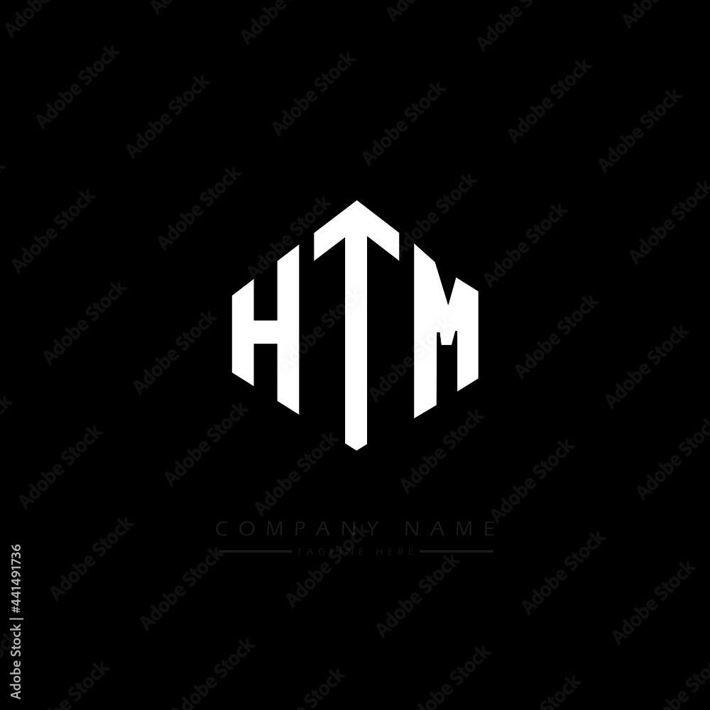 HTM letter logo design with polygon shape. HTM polygon logo monogram. HTM cube logo design. HTM hexagon vector logo template white and black colors. HTM monogram. HTM business and real estate logo. 