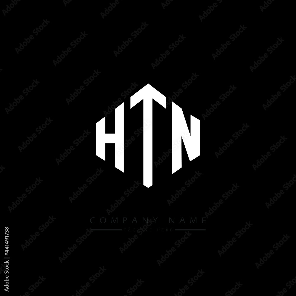 HTN letter logo design with polygon shape. HTN polygon logo monogram. HTN cube logo design. HTN hexagon vector logo template white and black colors. HTN monogram. HTN business and real estate logo. 