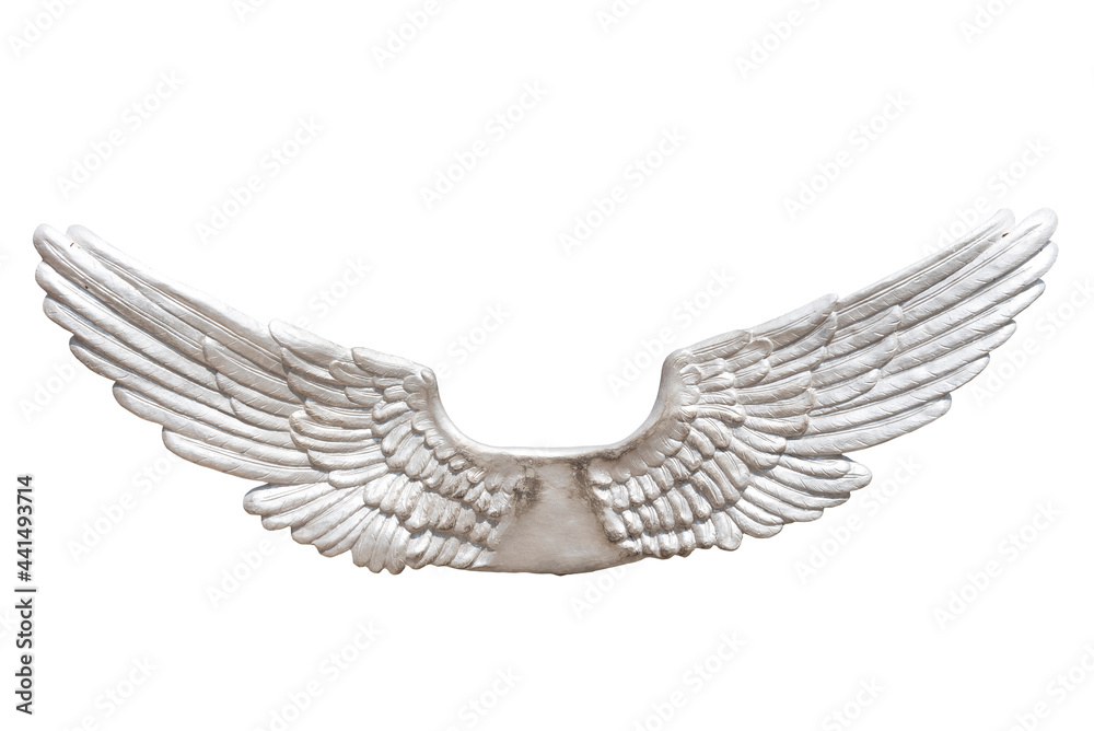 Obraz premium Metallic wings isolated on white background