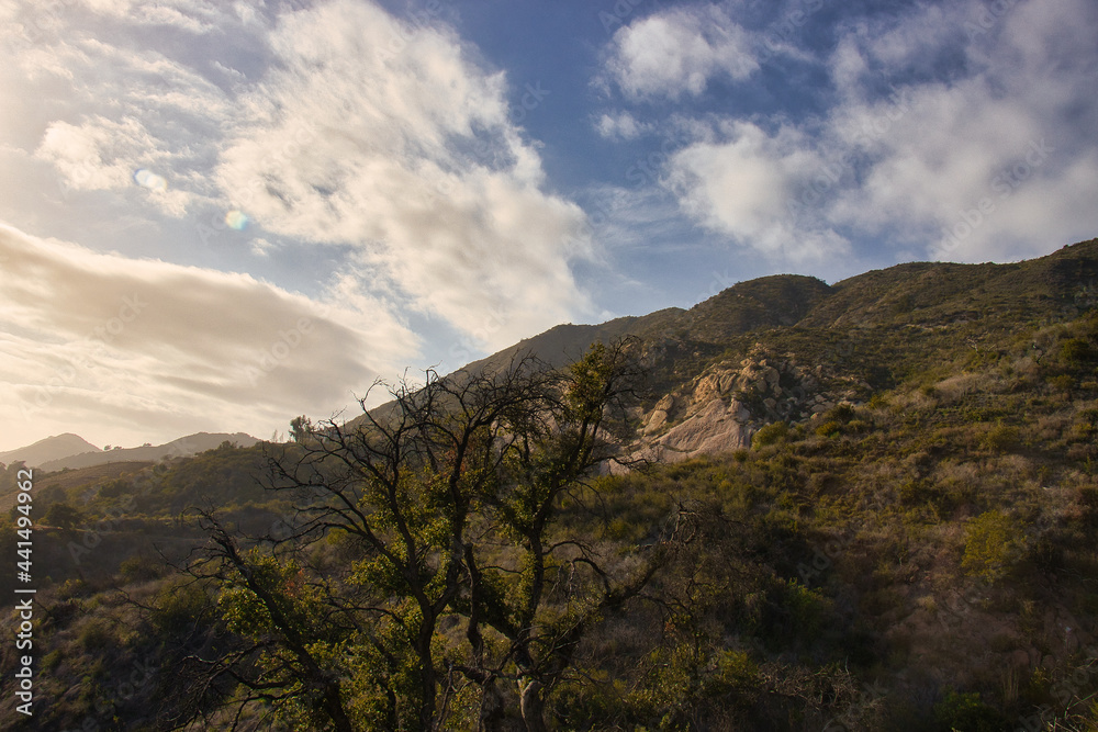 Fototapeta premium Hiking the Franklin Trail in Carpinteria California