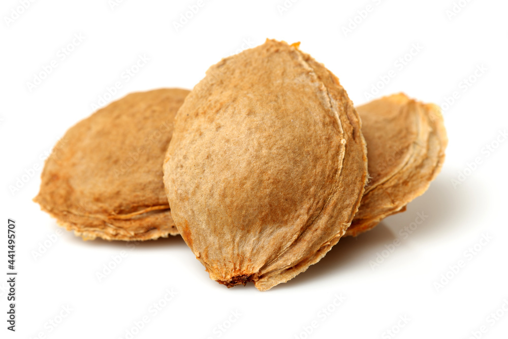 apricot kernel isolated on white background apricot kernel isolated on white background
