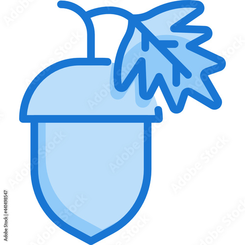 acorn blue line icon