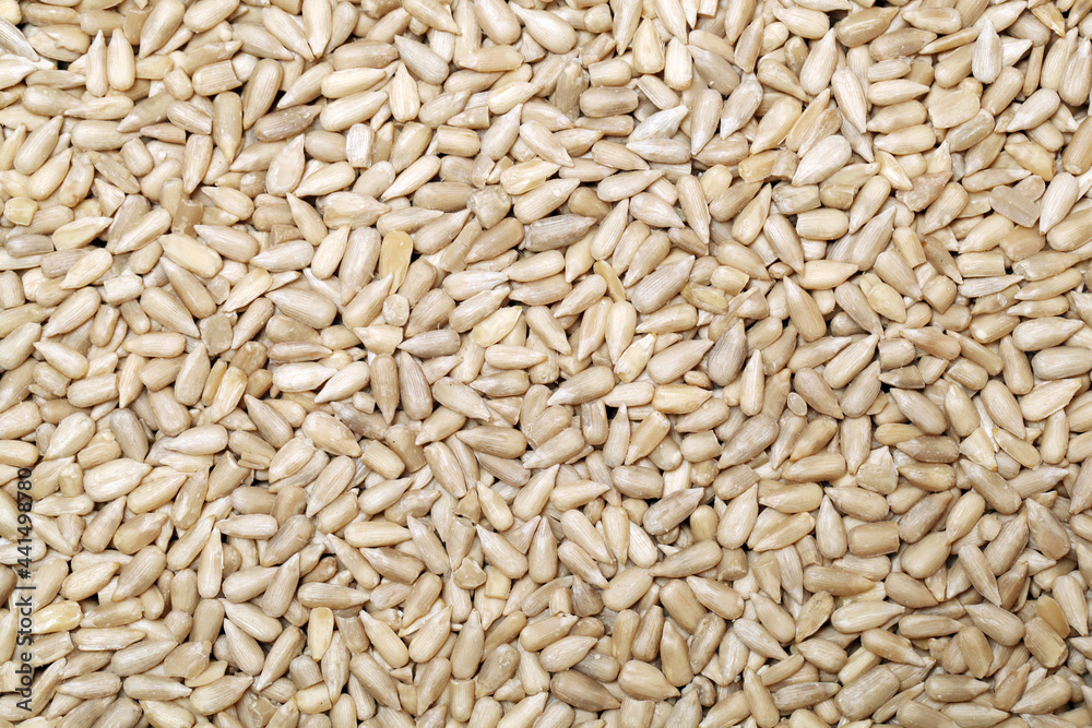 Peeled sunflower seeds pile on white background
