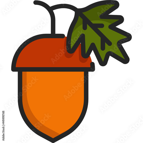 acorn color line icon