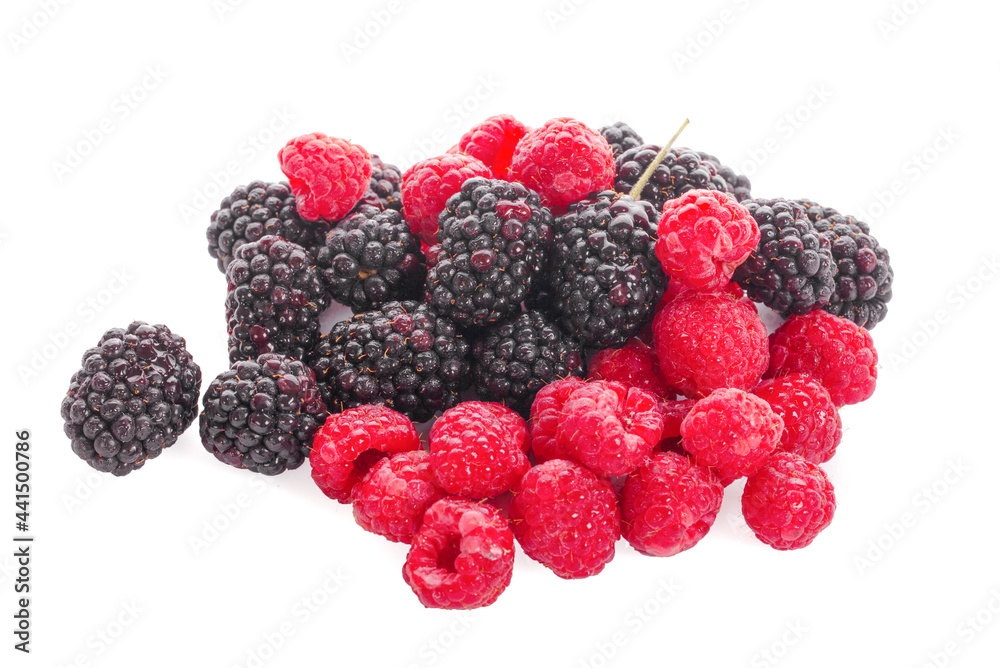 Raspberry with blackberries Isolated on White Background Raspberry with blackberries Isolated on White Background