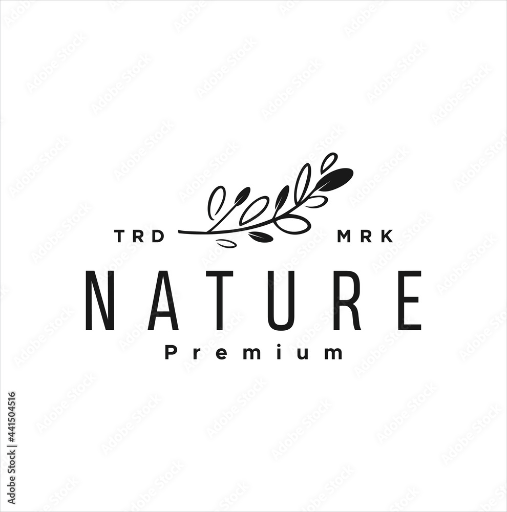 Fototapeta premium Vintage Leaves Logo ornament Design Leaf Stock Vector symbol icon template label badge black.