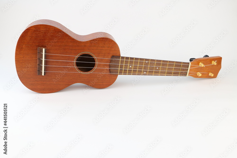 Obraz premium ウクレレ