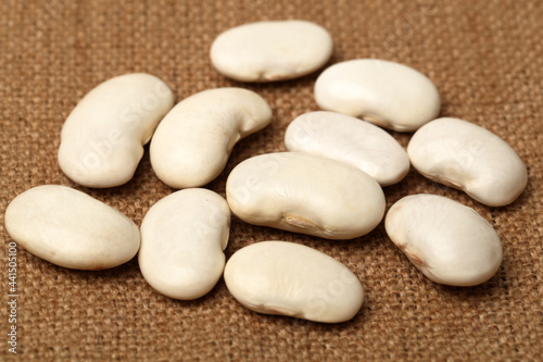 White kidney beans on white background