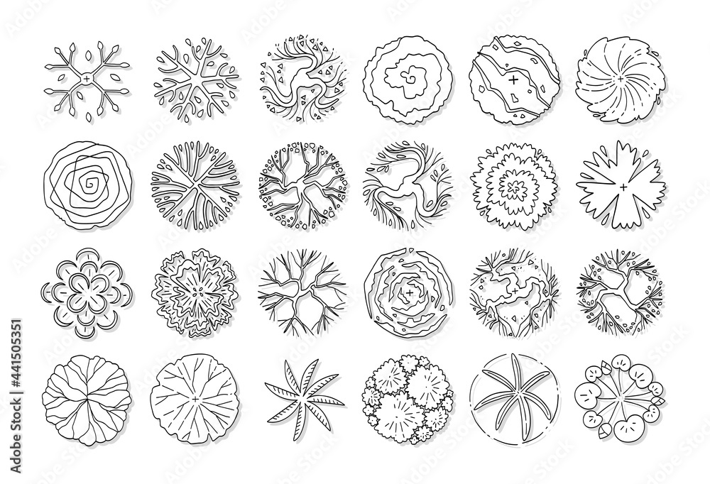 hand drawn top view tree. hand drawn top view tree.
