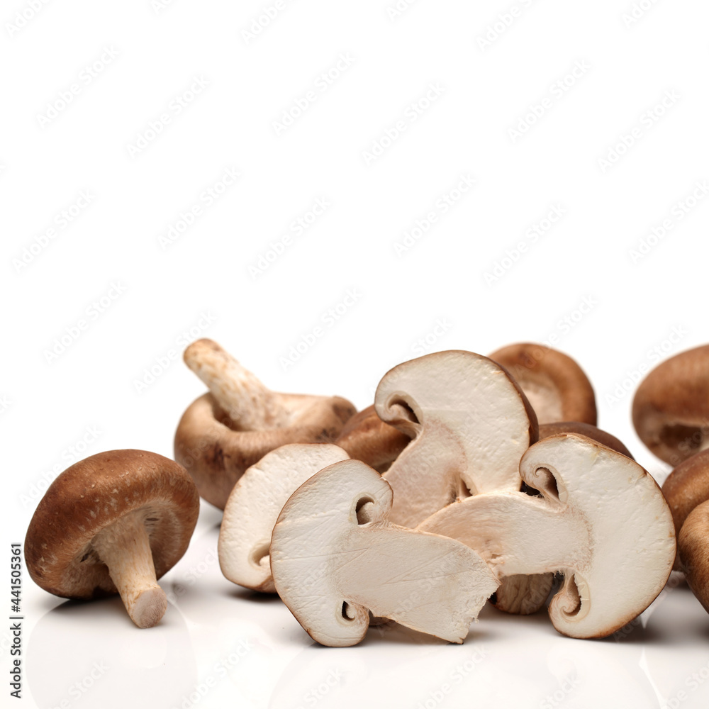 Shiitake mushroom on the White background Shiitake mushroom on the White background