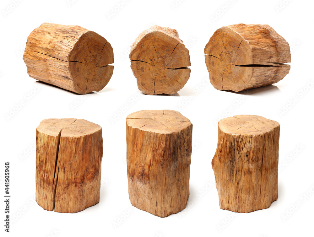 log isolated on a white background log isolated on a white background