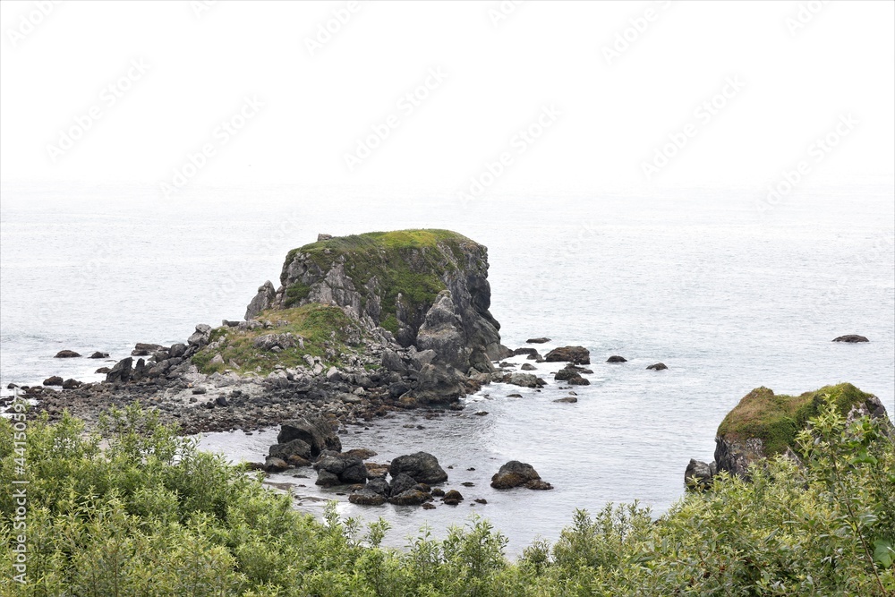 Rocks and Waves of the Shore of Oregon on a Foggy Day