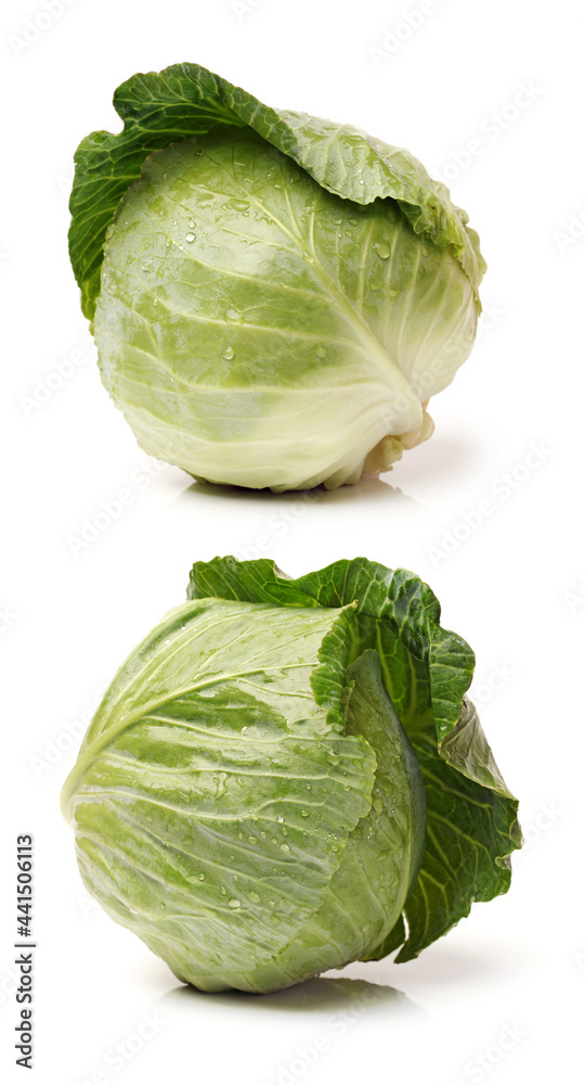 Fototapeta premium cabbage on a white background