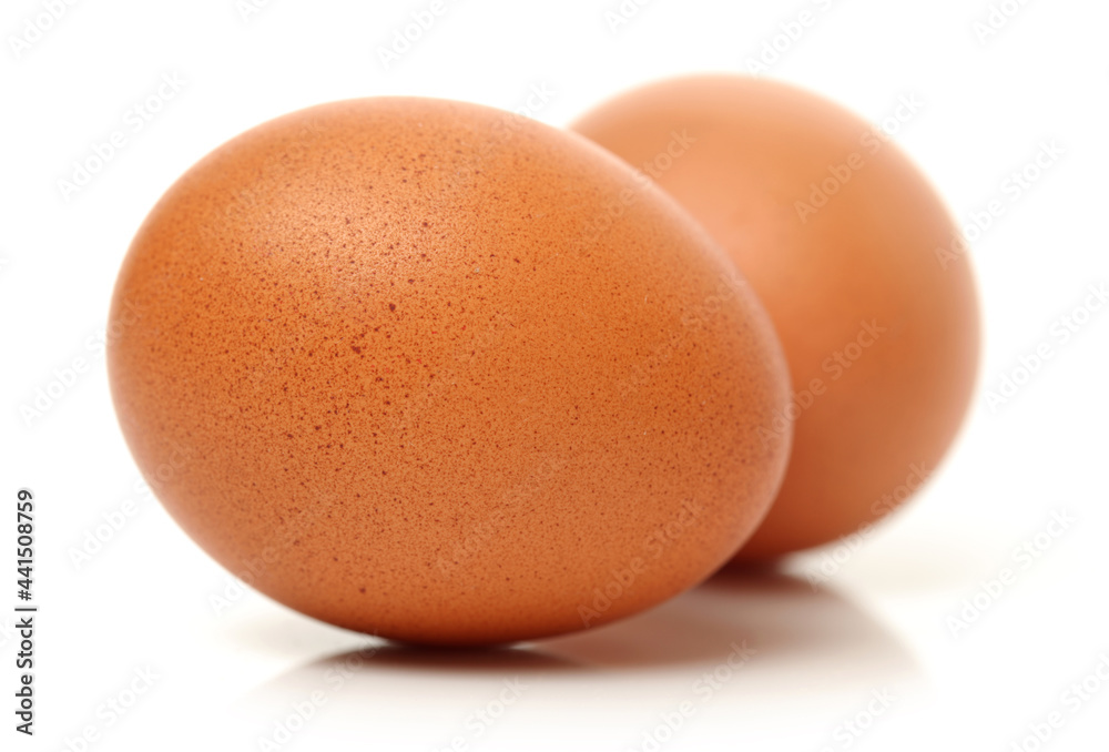 Egg collection isolated on white background
