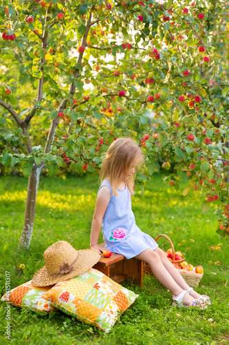 Portrait of child in apple orchard. Little girl in straw hat, blue striped dress, sits on bench