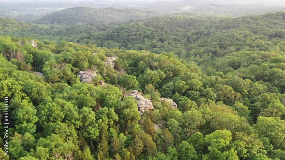 Majestic dense forest landscape in aerial orbit drone view Majestic dense forest landscape in aerial orbit drone view