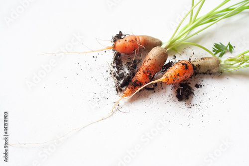 carrots with soil and green leaves on white