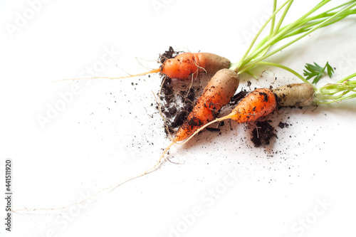 carrots with soil and green leaves on white