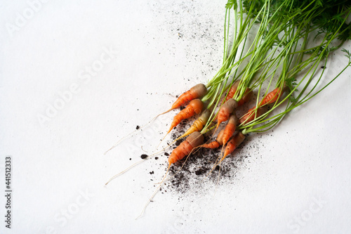carrots with soil and green leaves on white