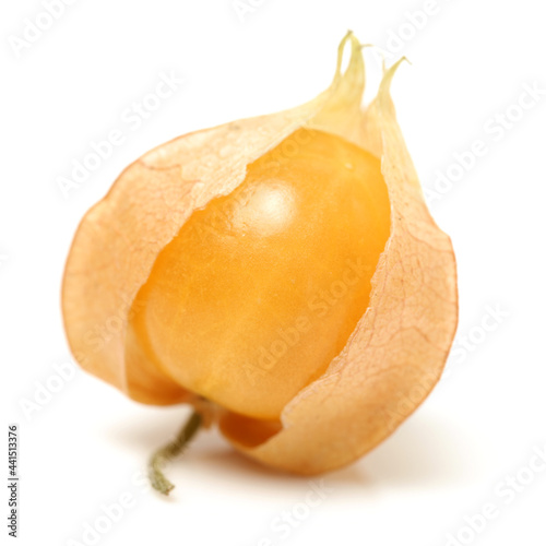 Physalis fruit isolated on white background 