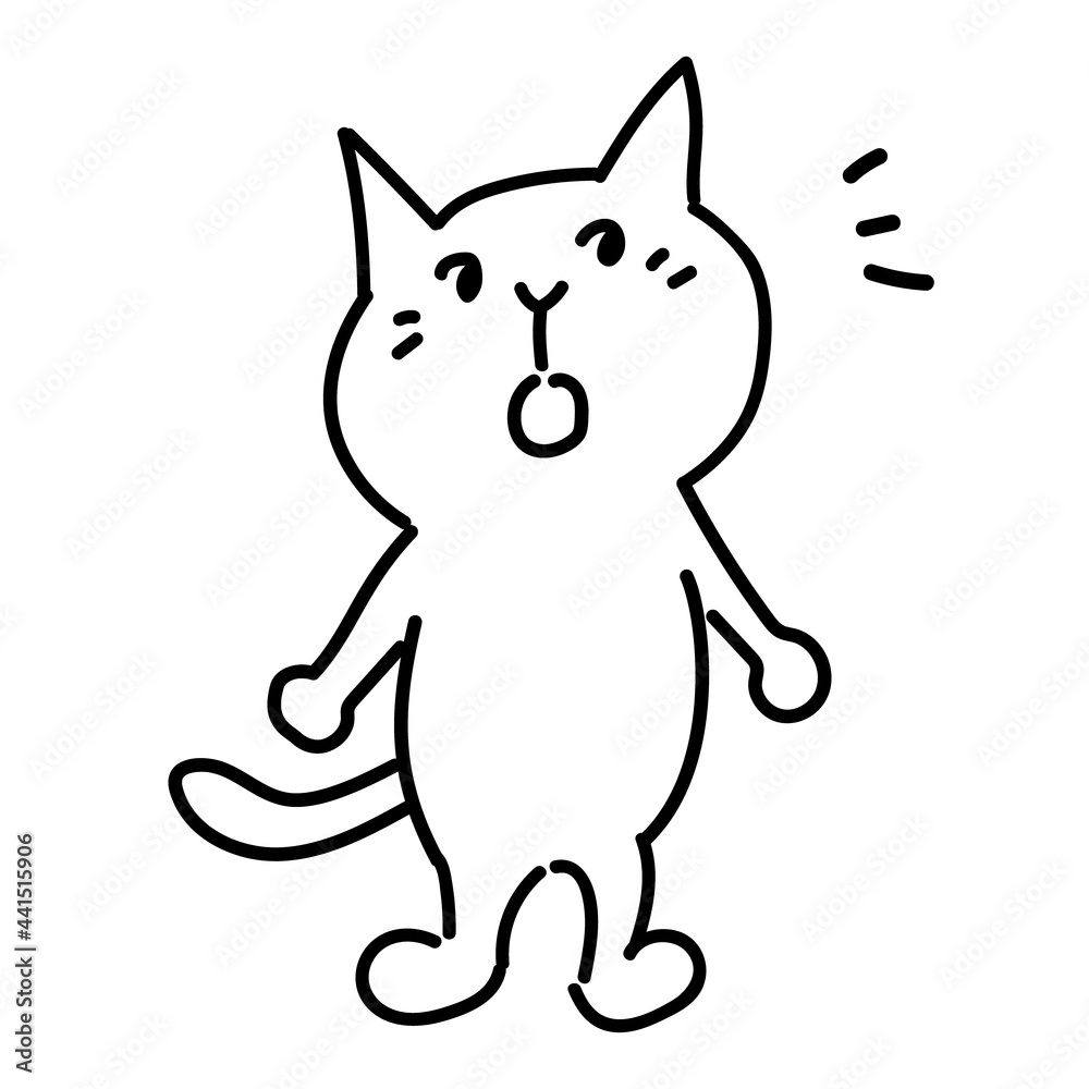 なるほど〜という表情の白猫
なるほど〜という表情の白猫