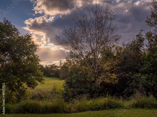 Dramatic Afternoon Light over Parkland © Kevin