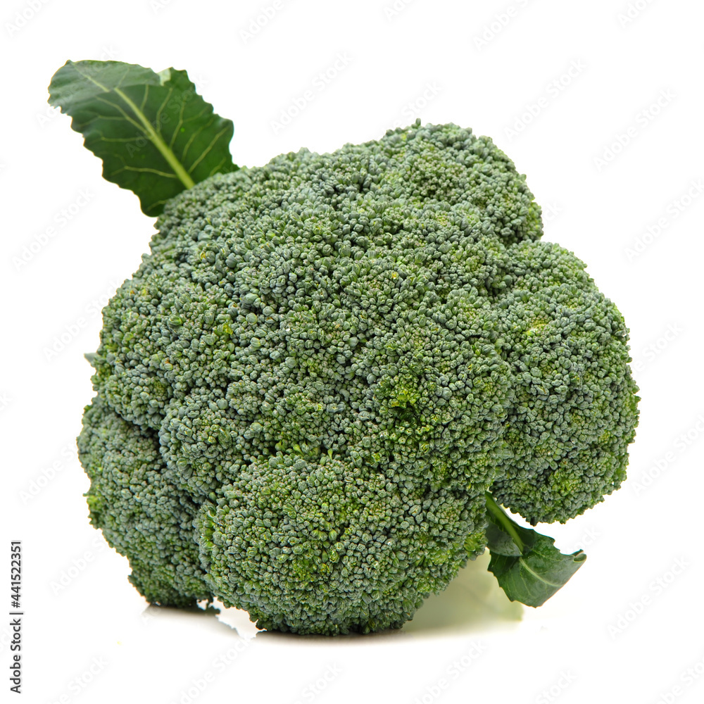 Broccoli vegetable on white background Broccoli vegetable on white background