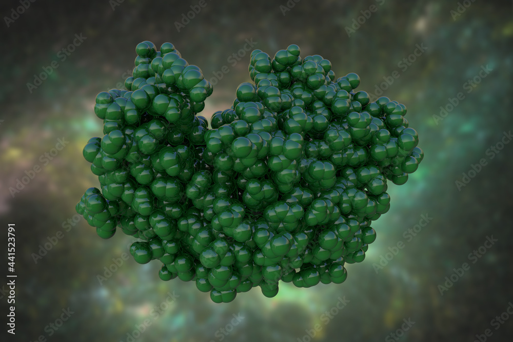 Space Filling Molecular Model Of Human Pepsin 3b One Of The Enzymes