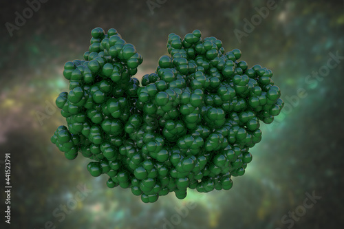 Space-filling molecular model of human pepsin 3b, one of the enzymes that digest food proteins into peptides. Rendering based on protein data bank. Scientific background. 3d illustration photo