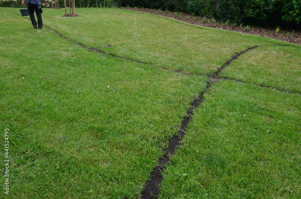 repair of damaged lawns after installation of automatic irrigation ...