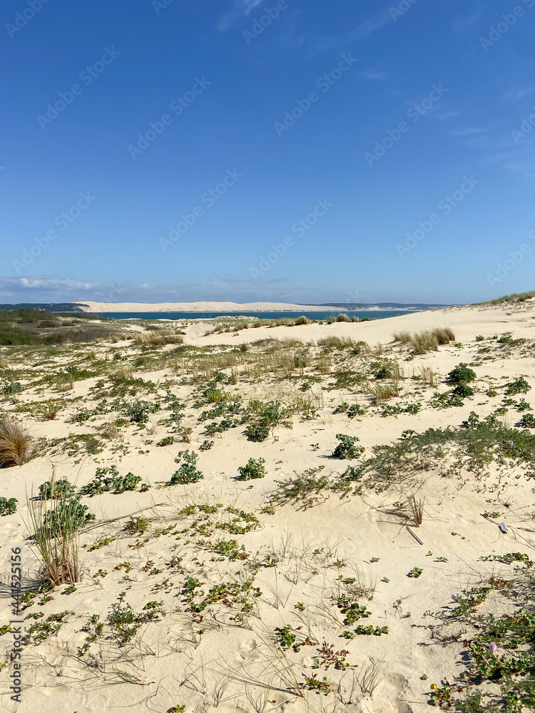 Plage du Cap Ferret et dune du Pilat, Gironde