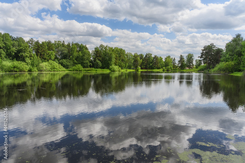 Summer landscape with reflection of white cumulus clouds in the water of a forest lake. In the midst of a warm  sunny summer with fresh green foliage. Ducks swim in the distance. Harmony in nature 
