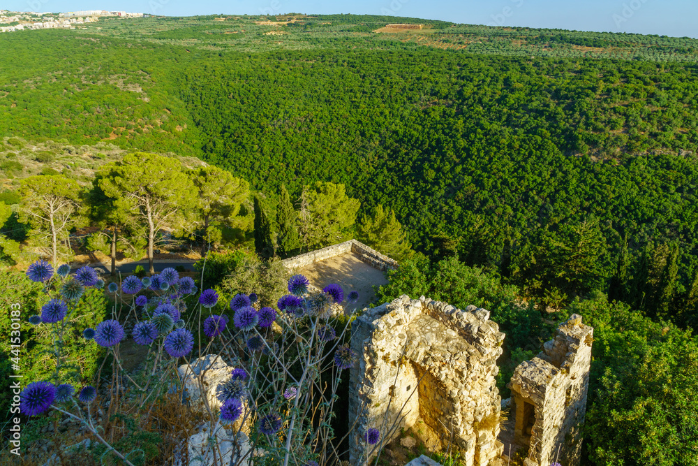 Yehiam stream valley from the fortress