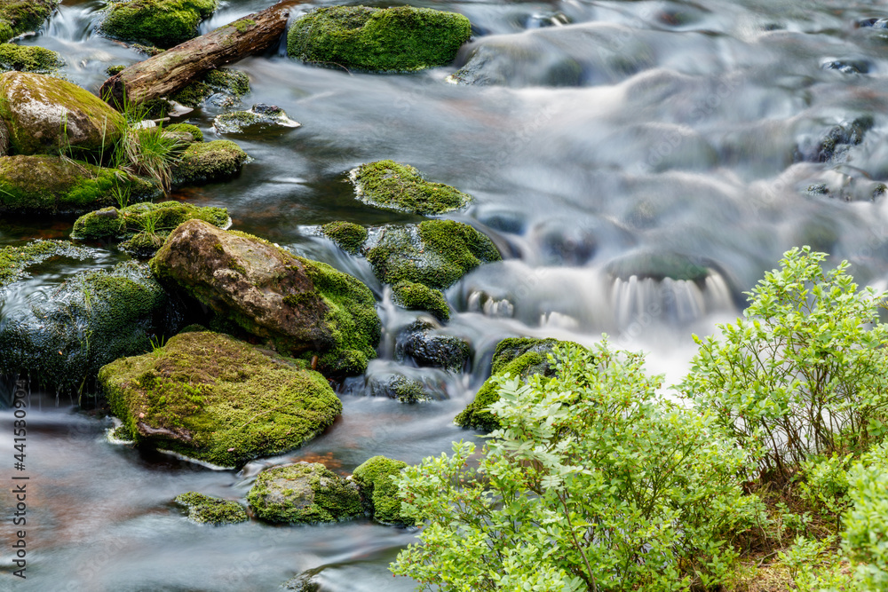 Fichtelgebirge Weissmainpfad, frühsommerlicher Gebirgsbach Fichtelgebirge Weissmainpfad, frühsommerlicher Gebirgsbach